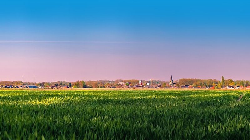Glooiende velden in Haspengouw